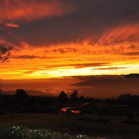 Villa Kula 4200 Esterno foto